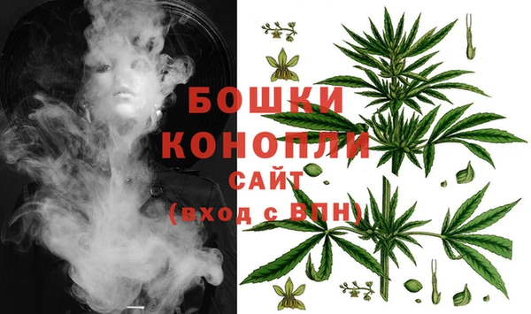 стафф Бердск