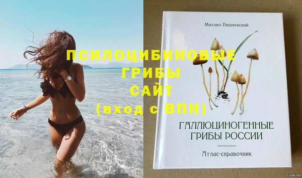 сатива Белокуриха
