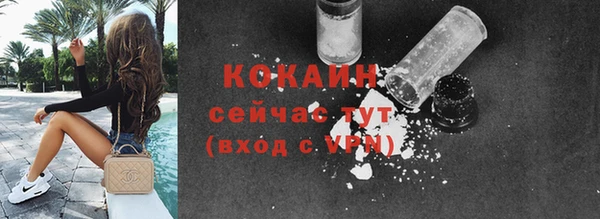 шишки Белоозёрский