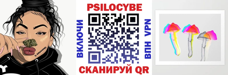 купить  цена  ОМГ ОМГ ТОР  Галлюциногенные грибы прущие грибы  Бикин 